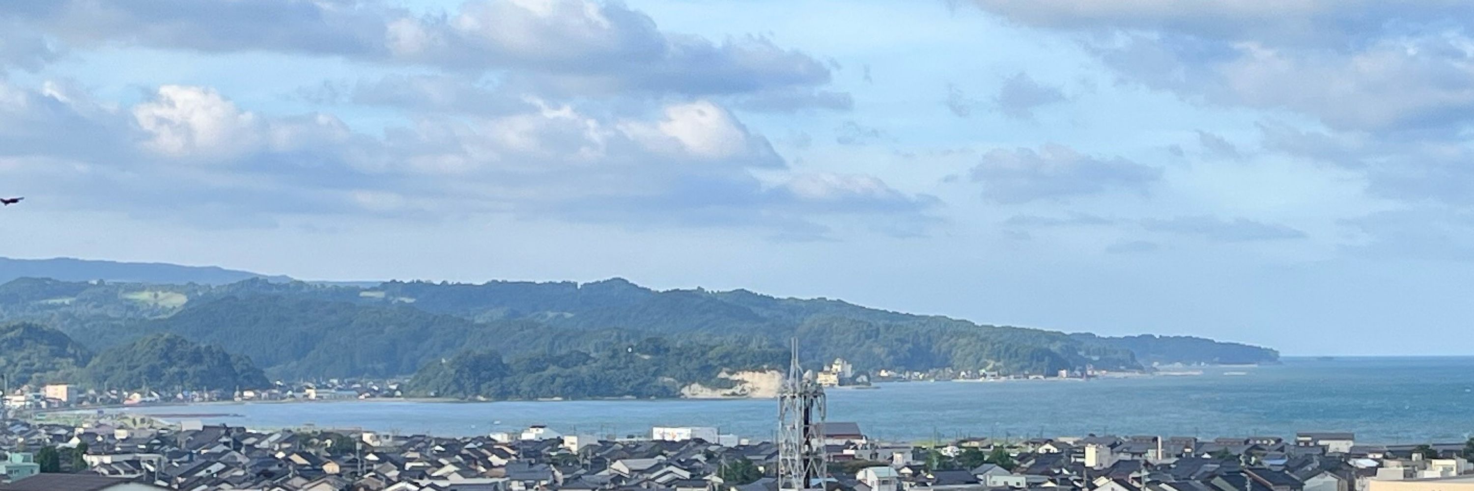 すっかりいちごの美味しい季節