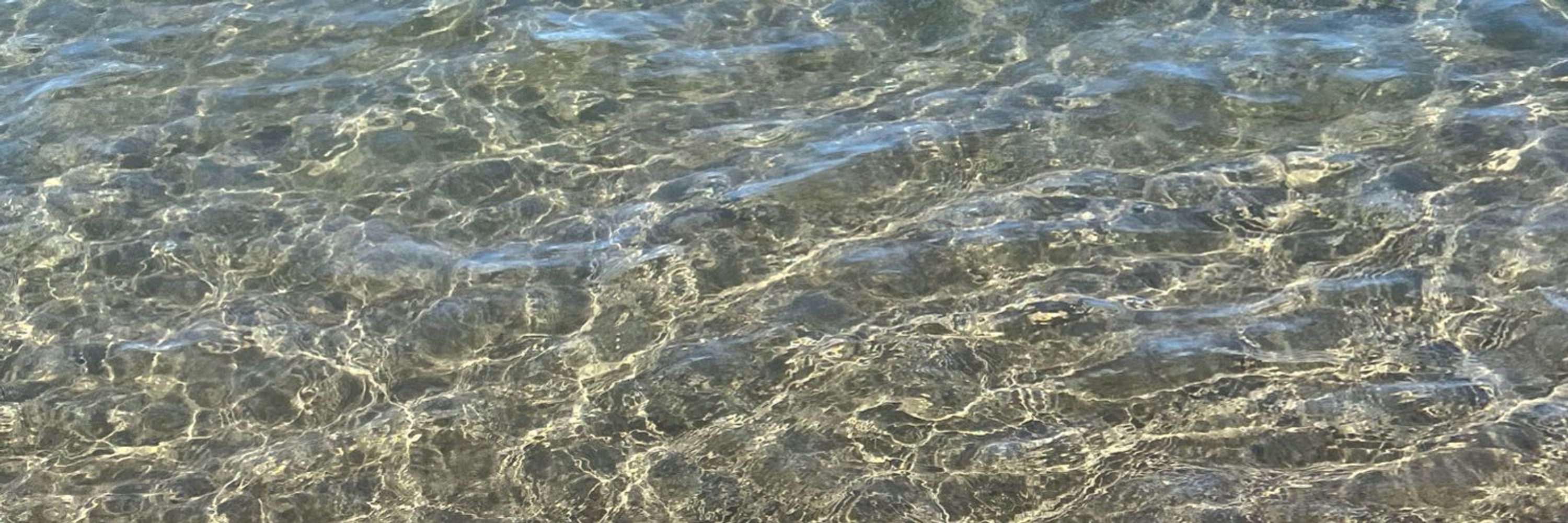 浅瀬あき🐕東２ハ62a