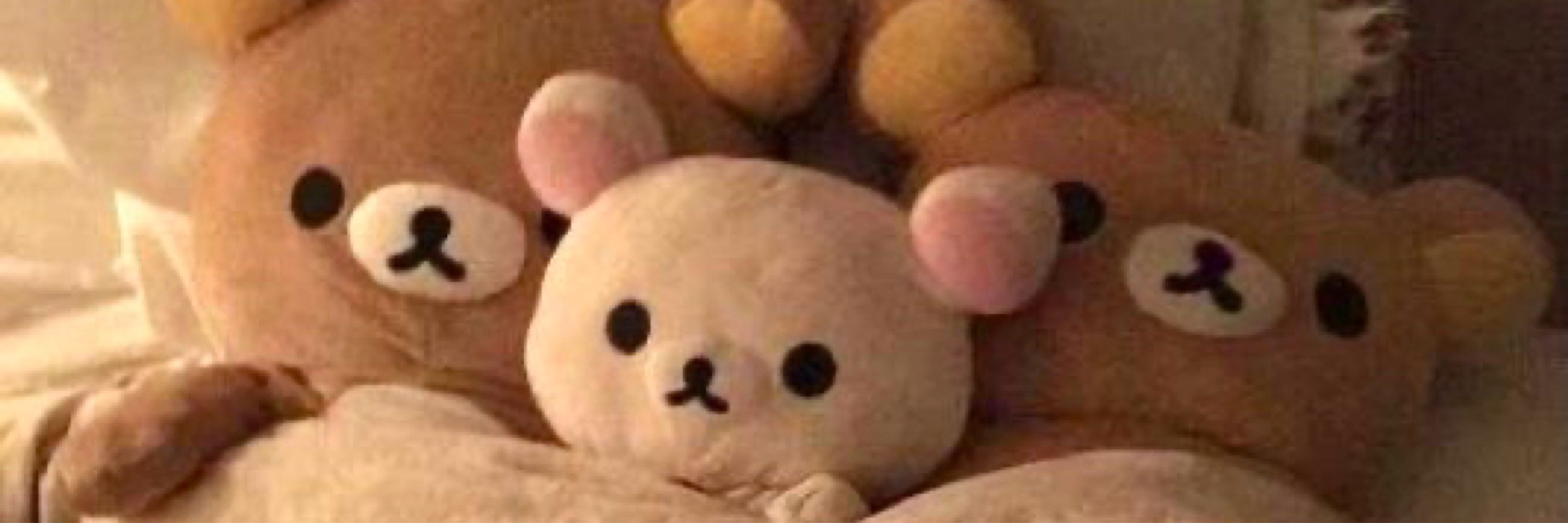 cynn ꨄ🧸