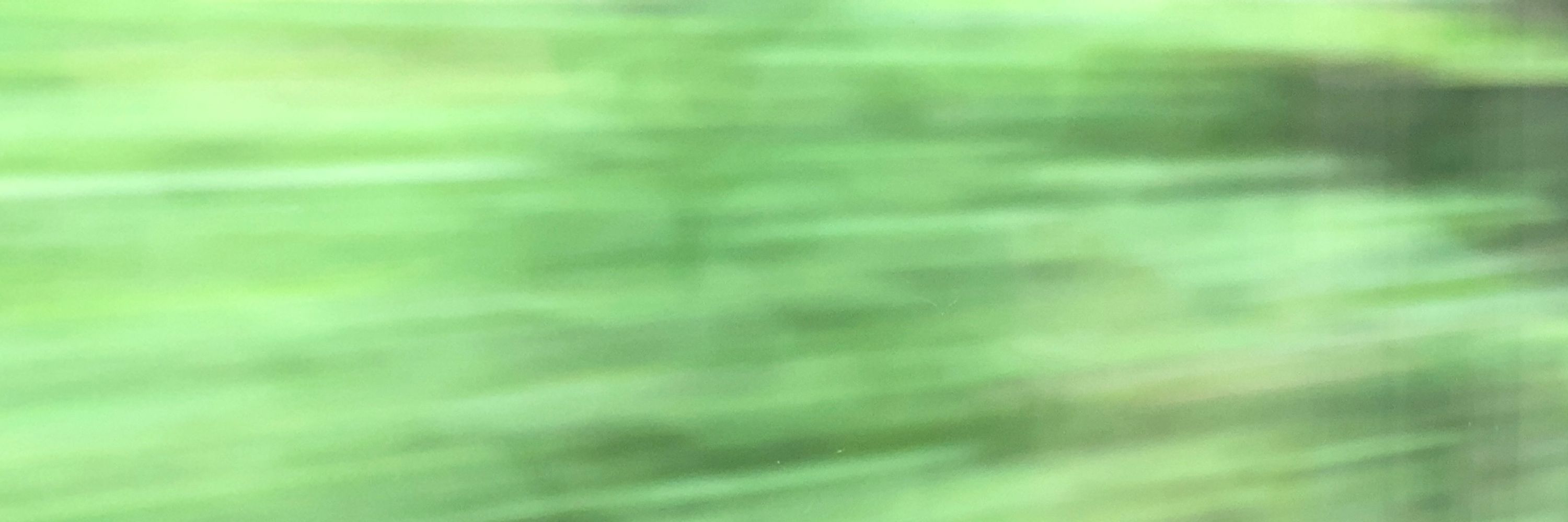 ヒザヌマ
