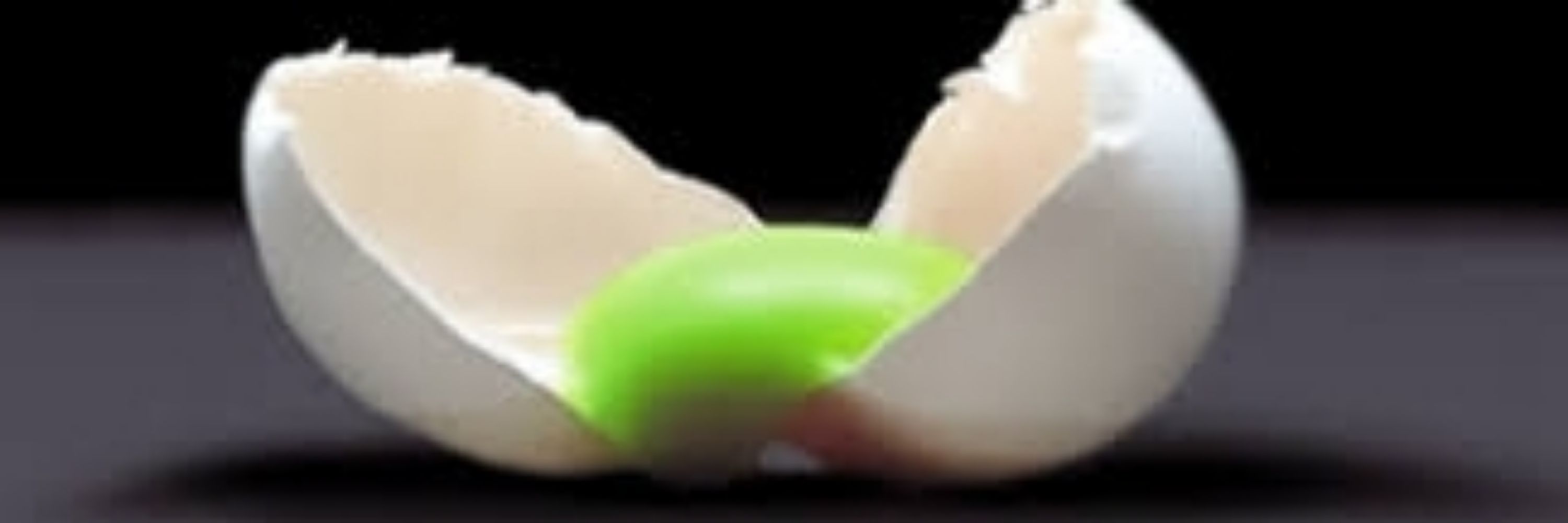 えーいち
