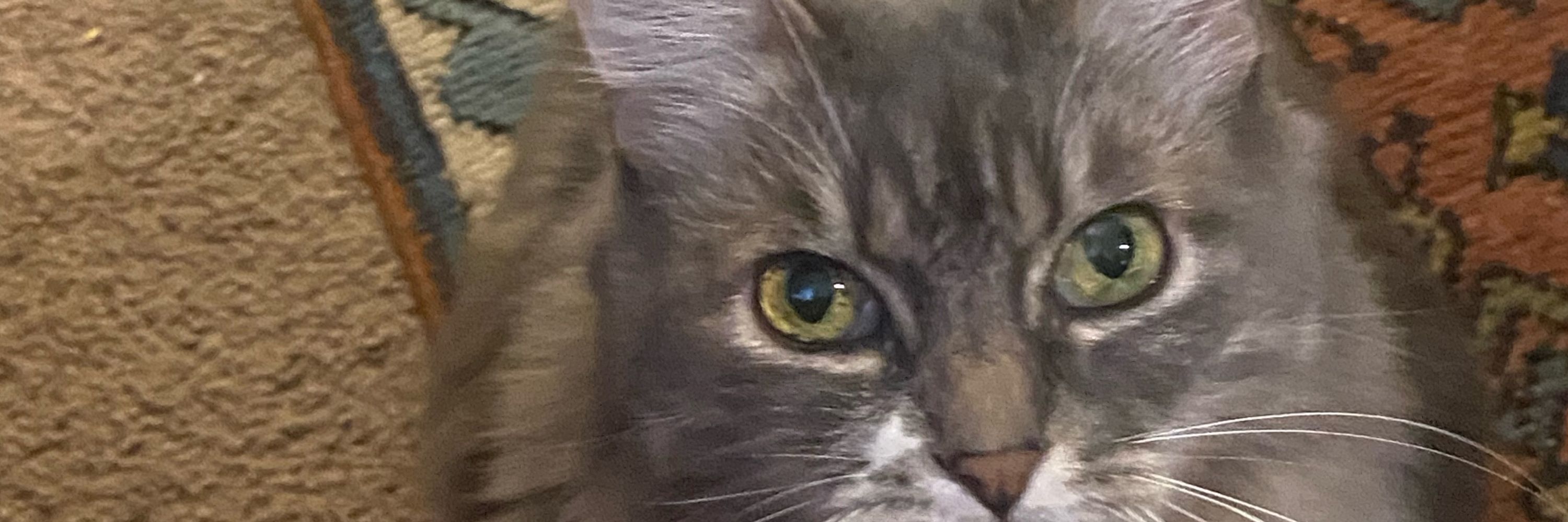Jan