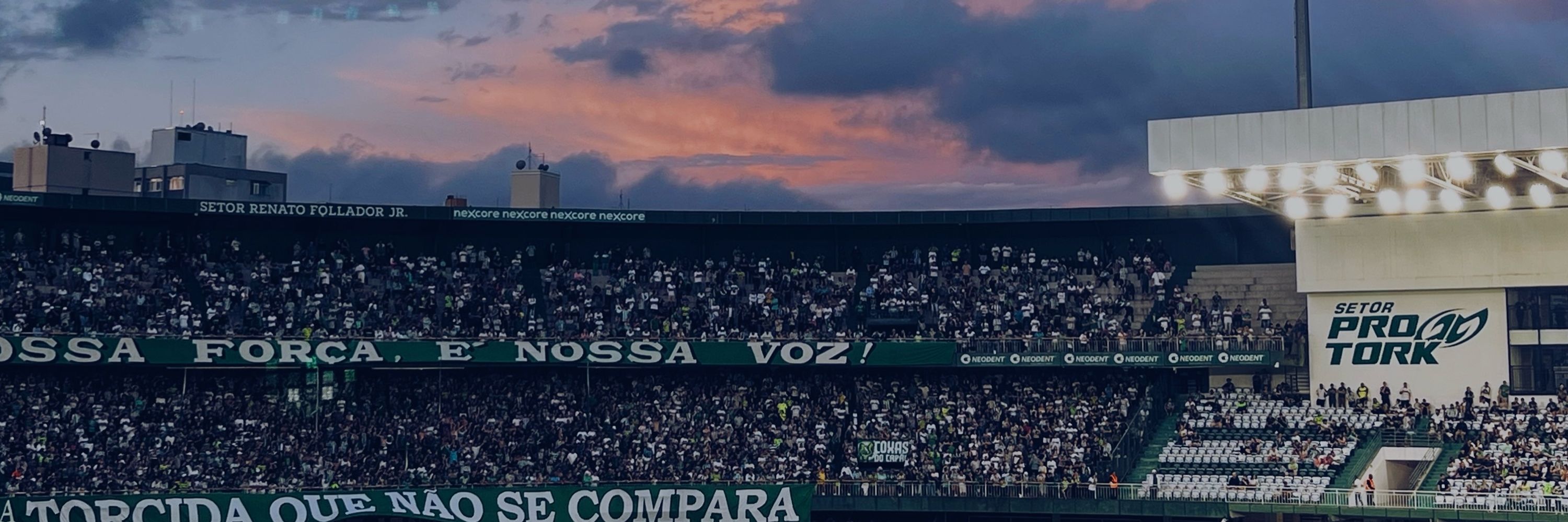 dudinha do coxa 💚