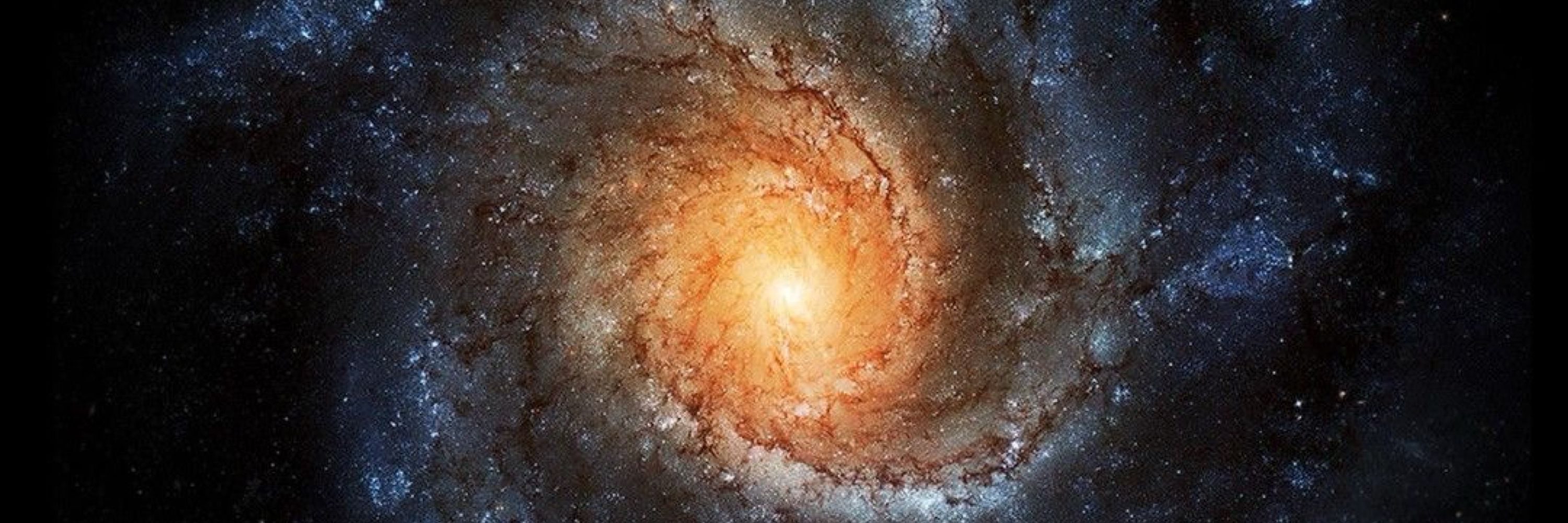 CosmicOzzy