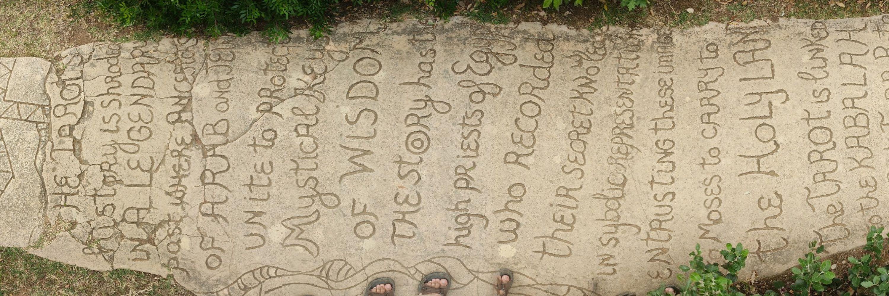 Andrea Baldassarri