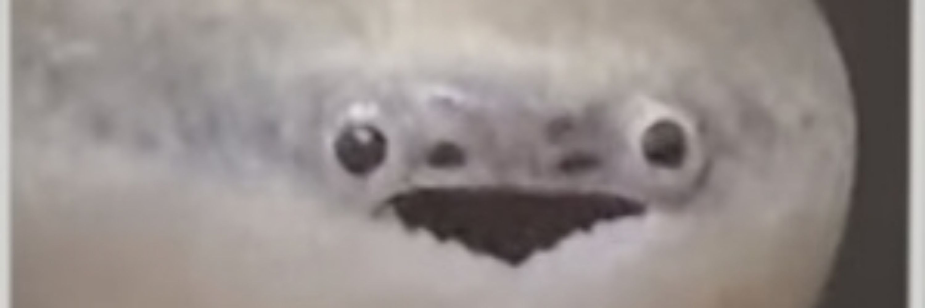 ANDY