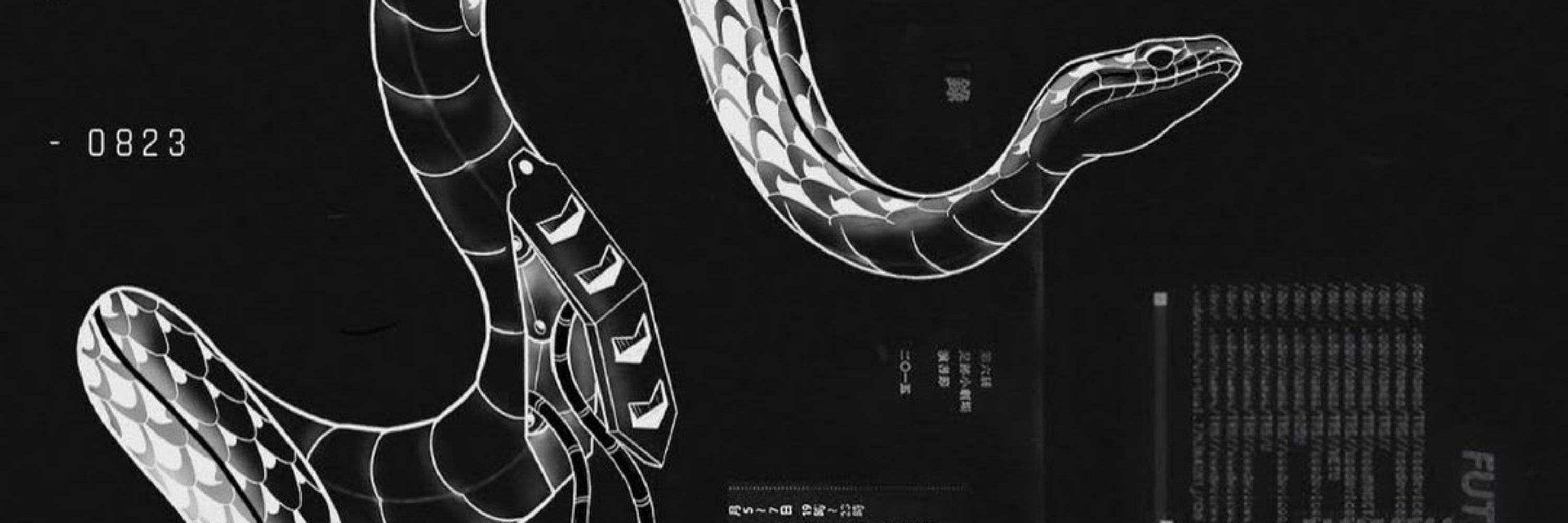 诗韵 NINI