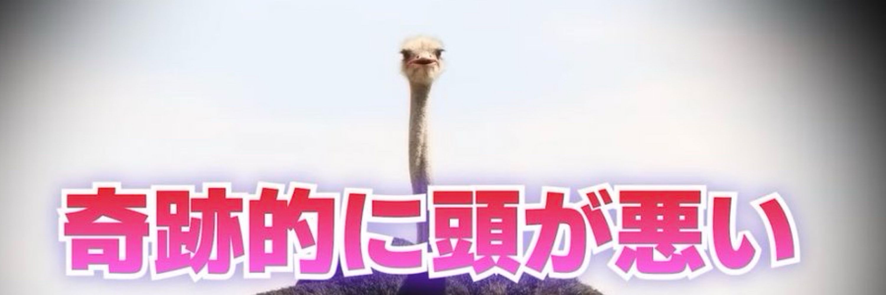 はなたれ