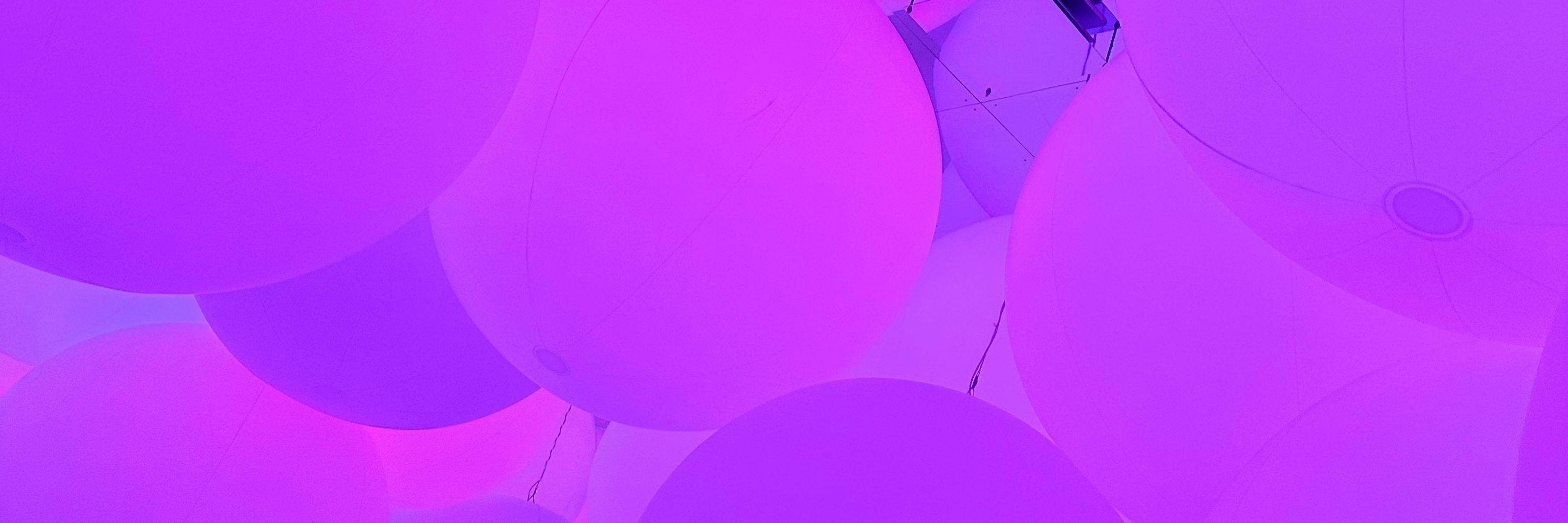 しらこむぎ