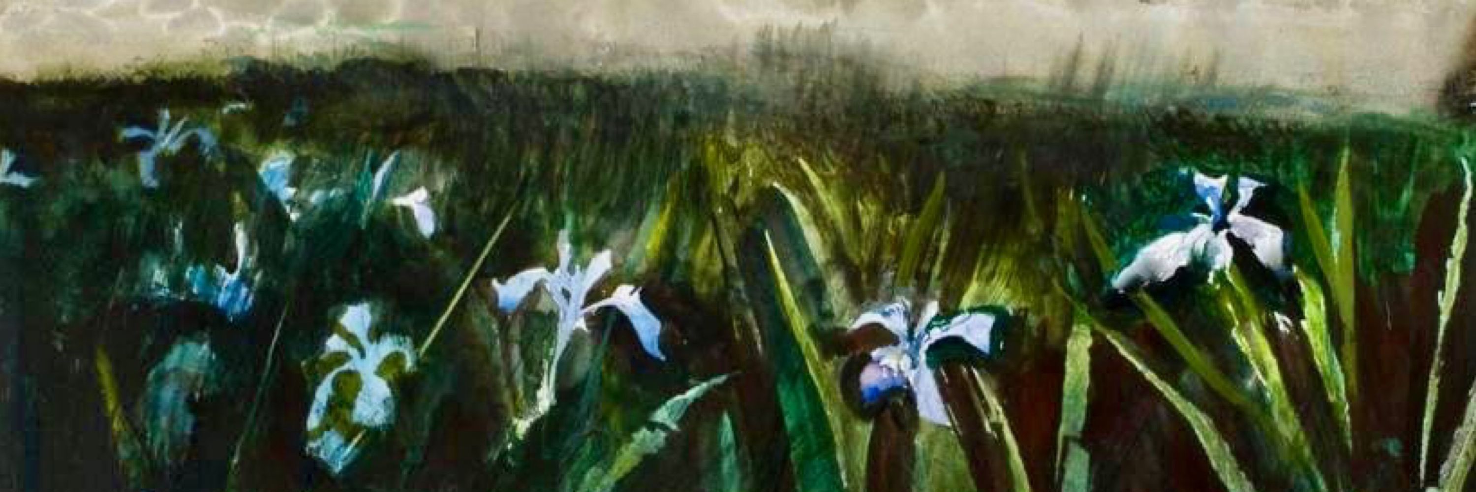 Anna Hester