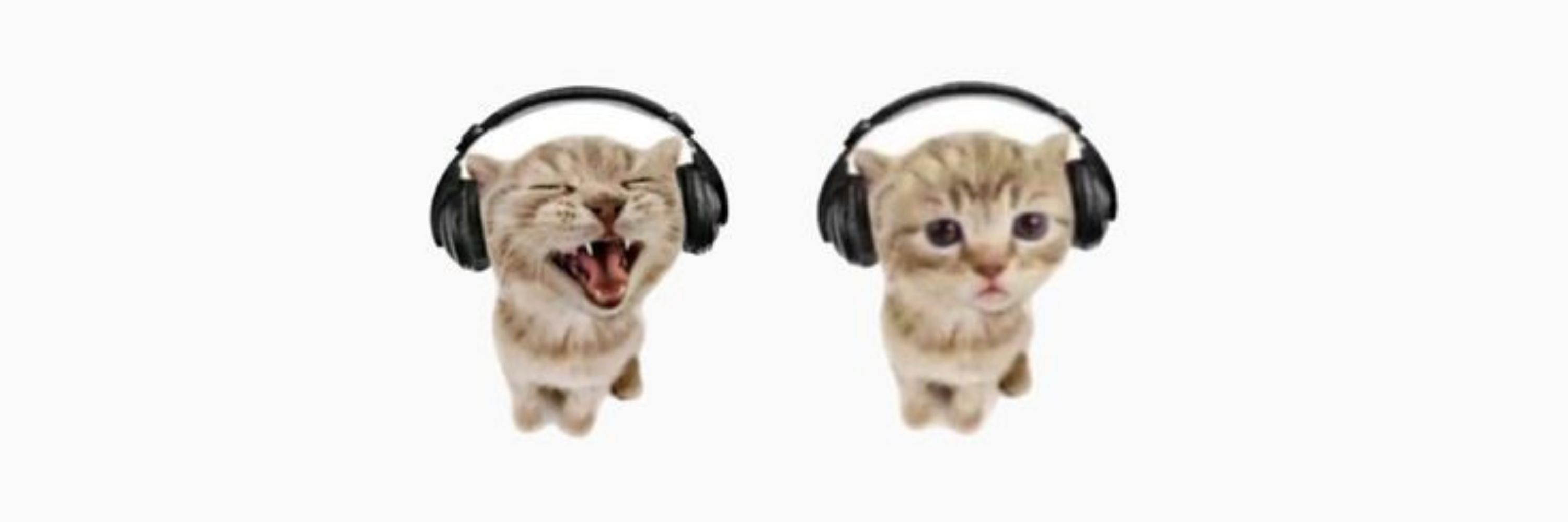 Jajão⋆