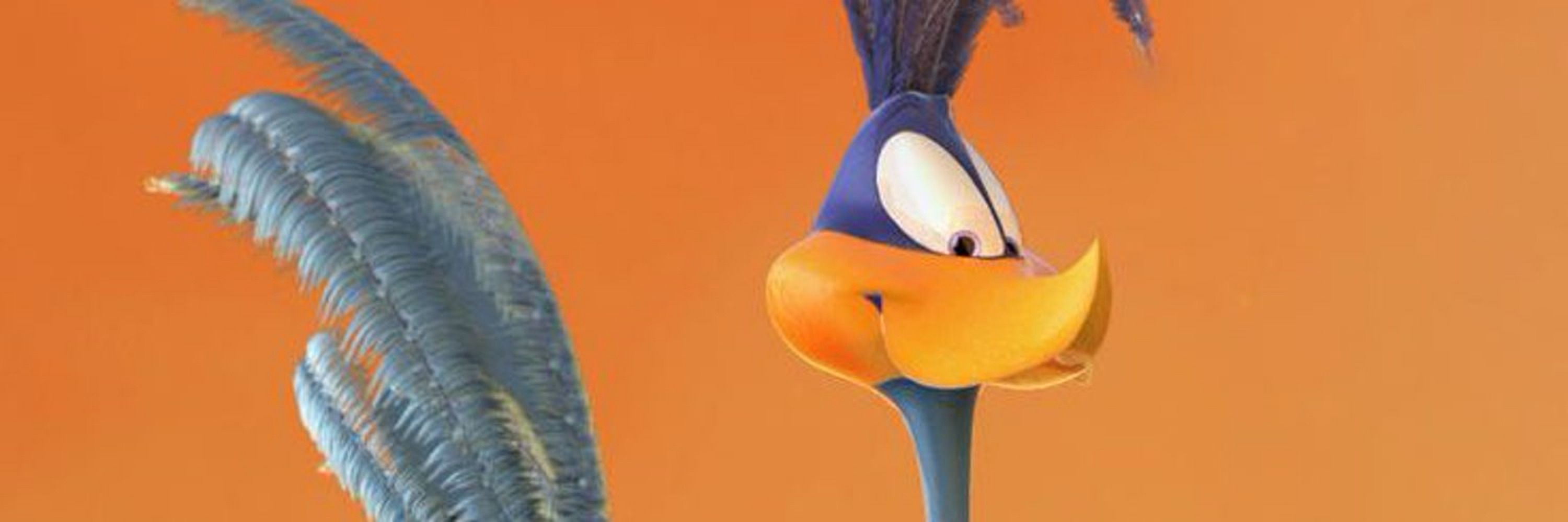 Road Runner