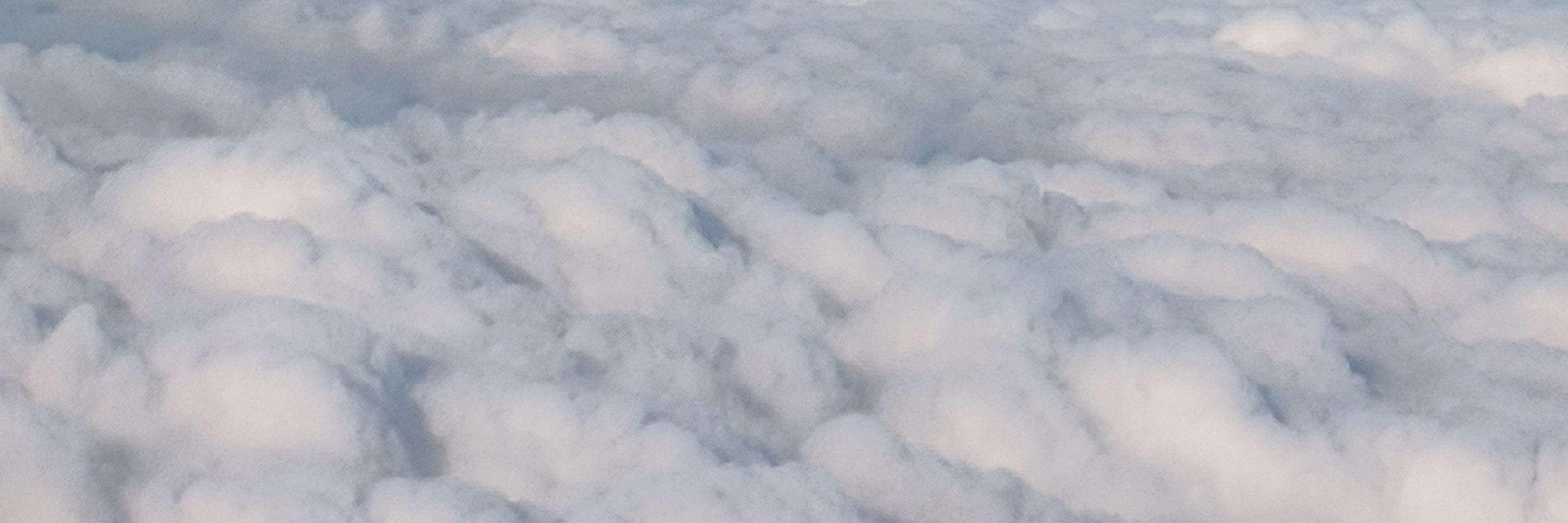 拌条透明的蛾子