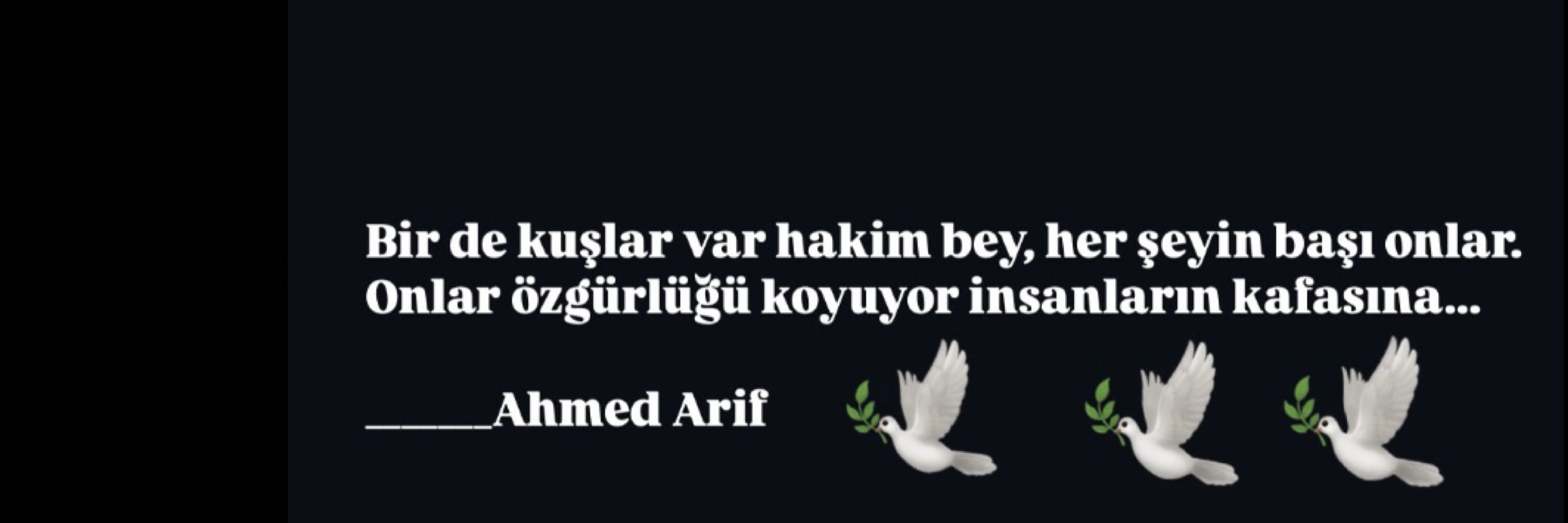 Nbht.olgun