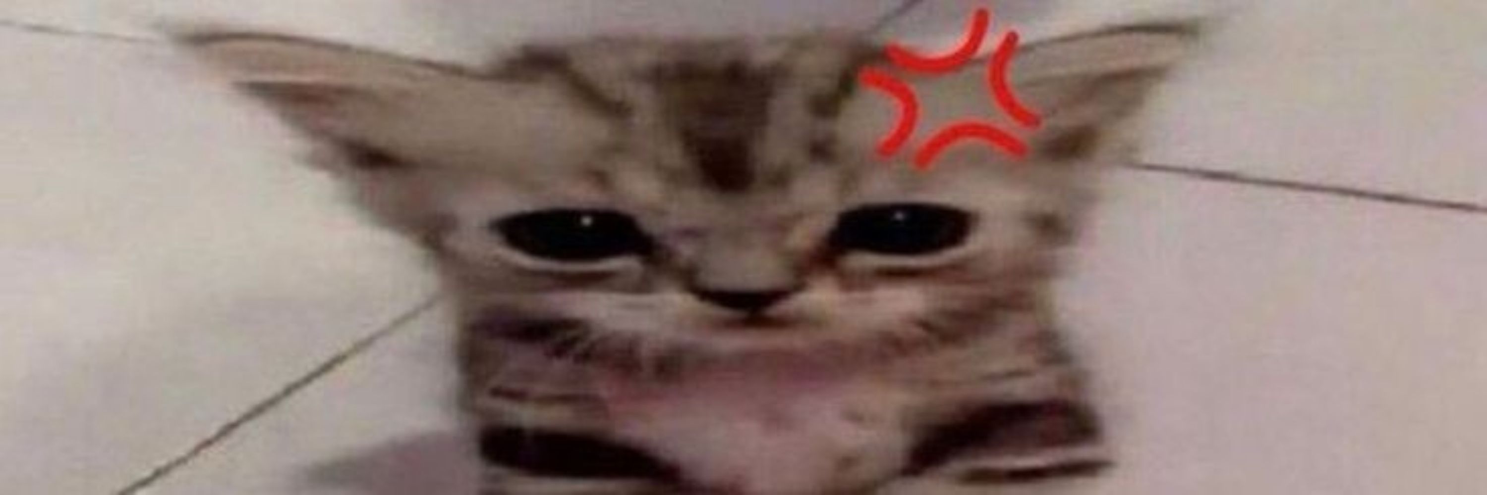 Tai 