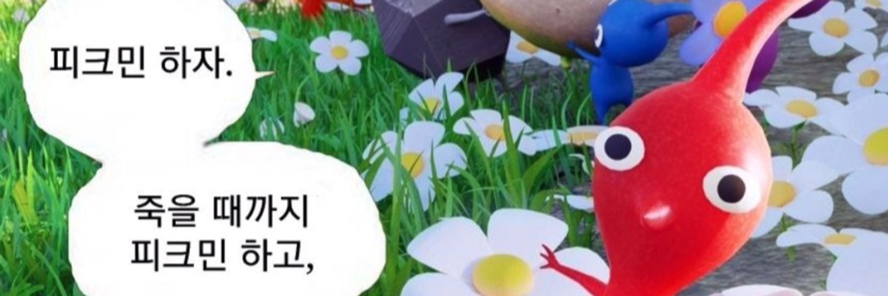 눈비