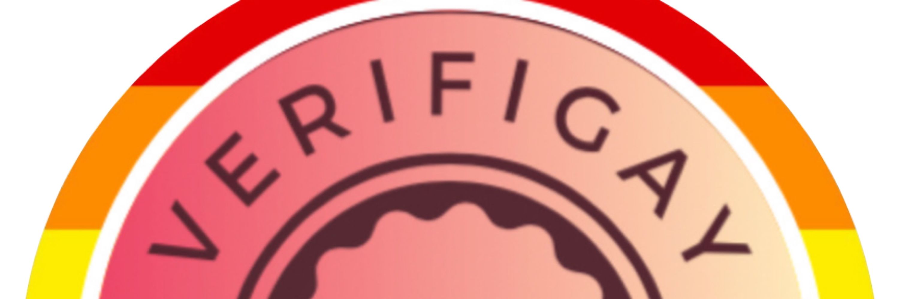 VERIFIGAY