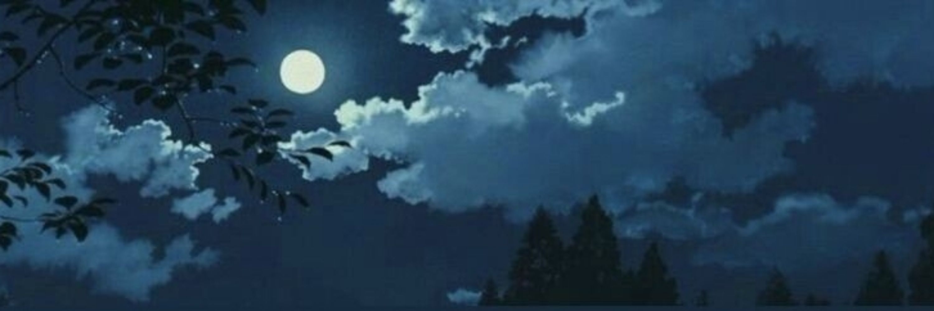 ° ๑ . `~ 𝑀𝑖𝑡𝑡𝑦° . `🫧