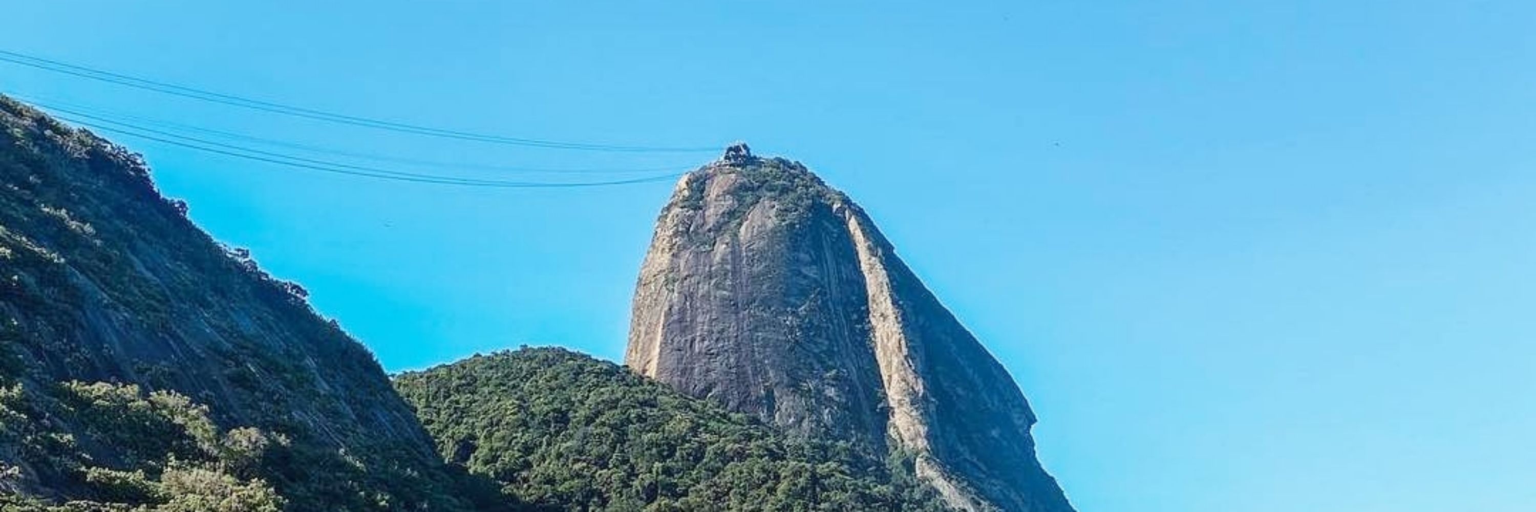 Mi