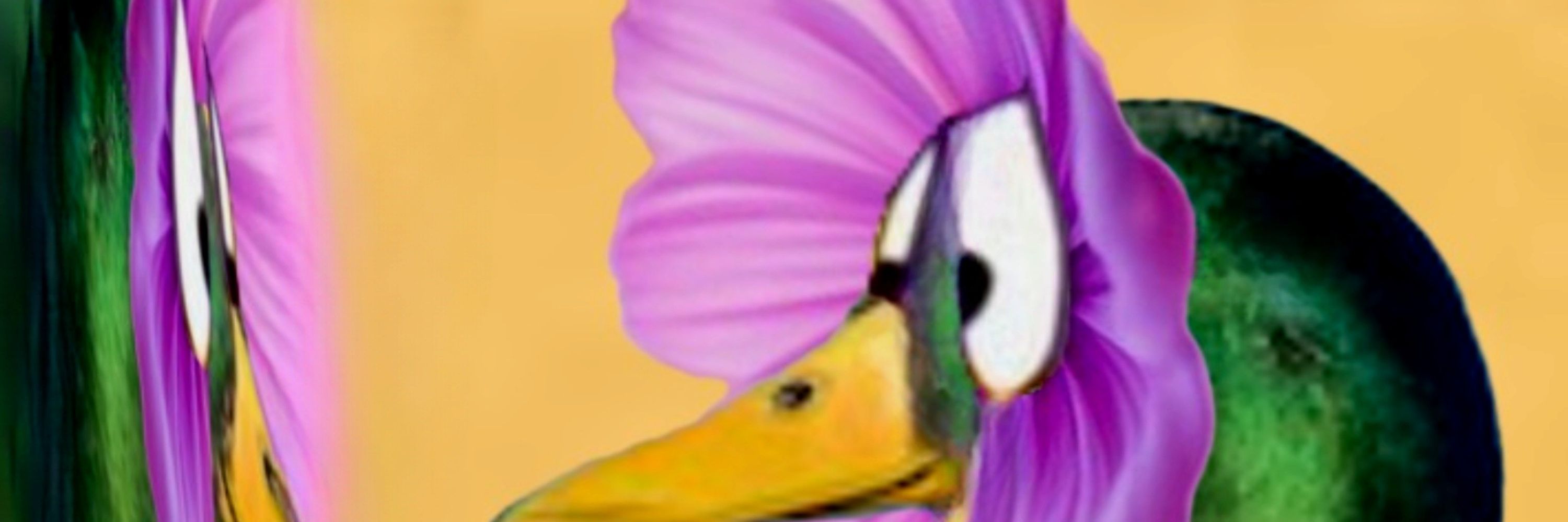 funco