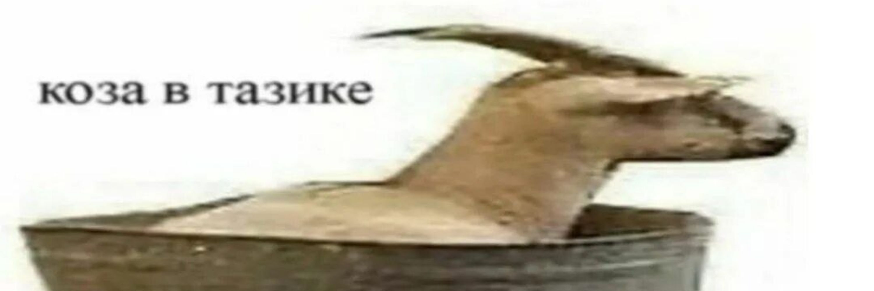 mawkako