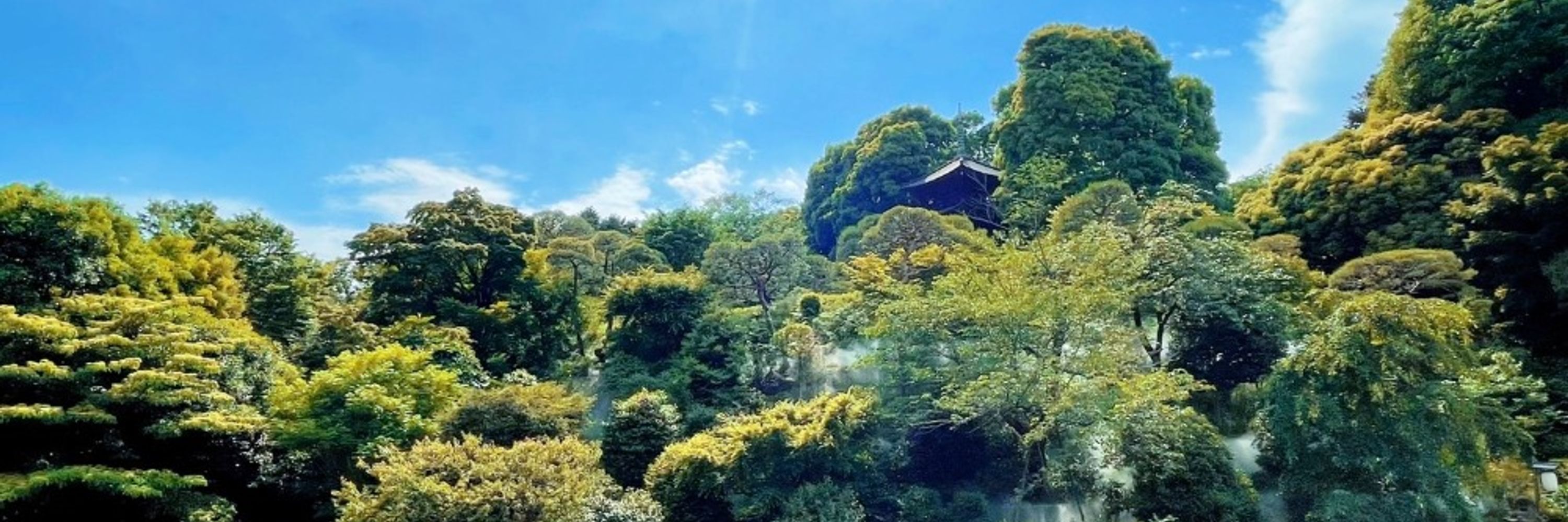 ぼる