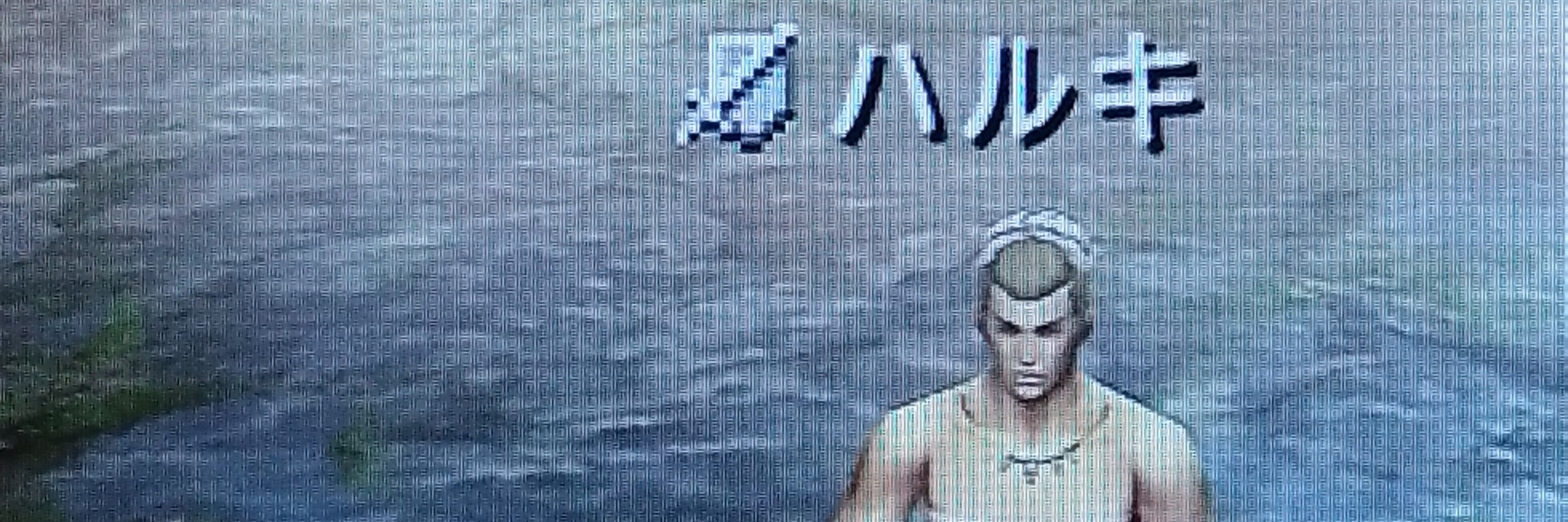 白瀬ハルキ