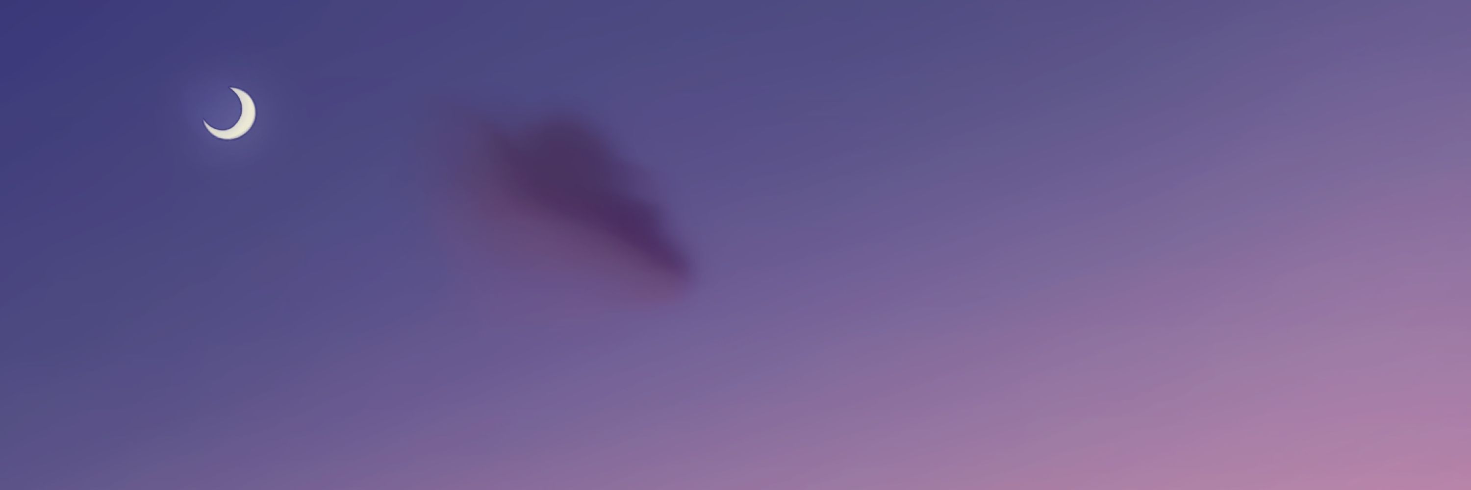 Rainbow223posts