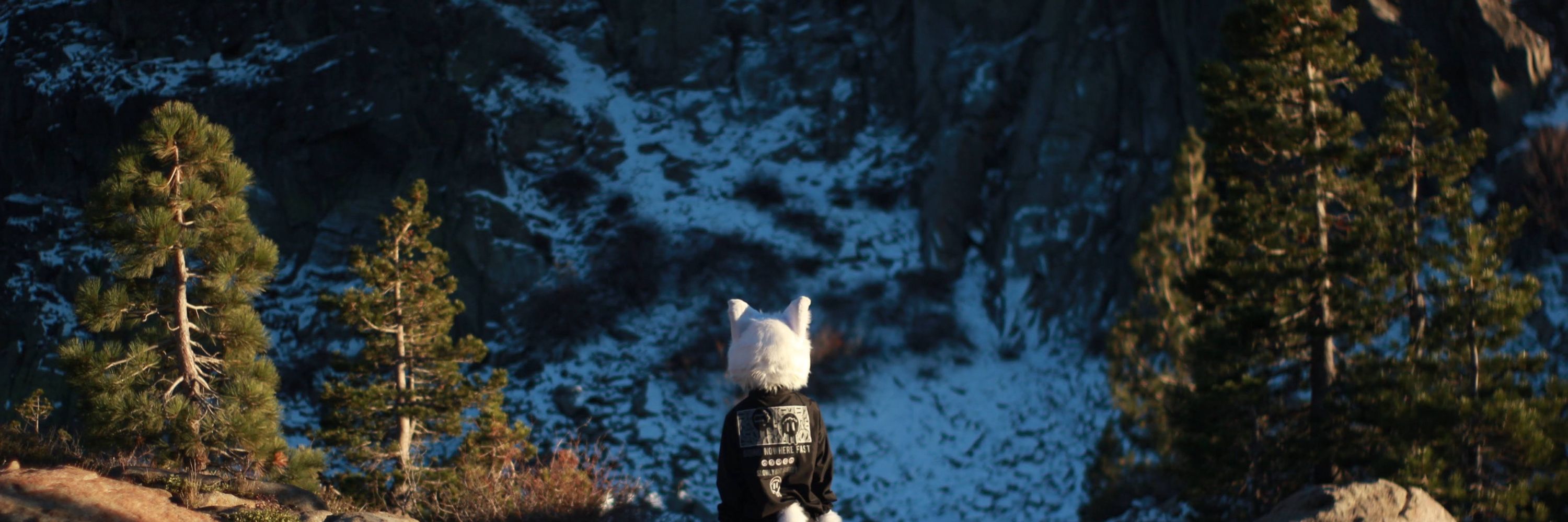 Rj