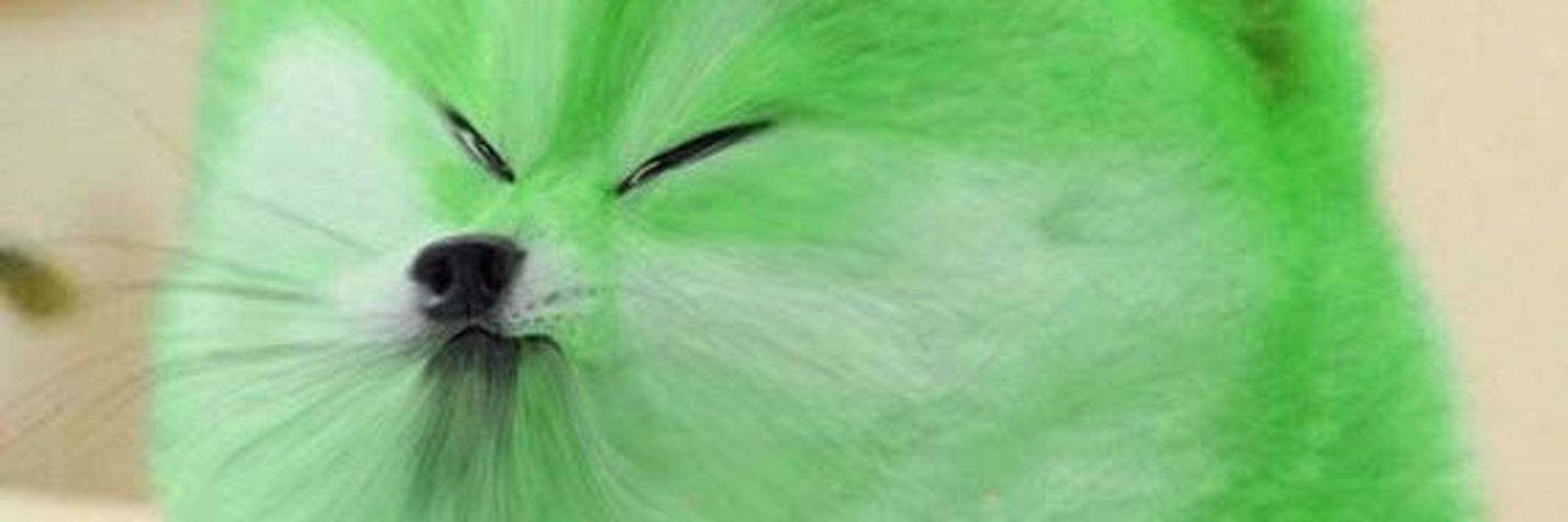 👁‍🗨GreenDoge