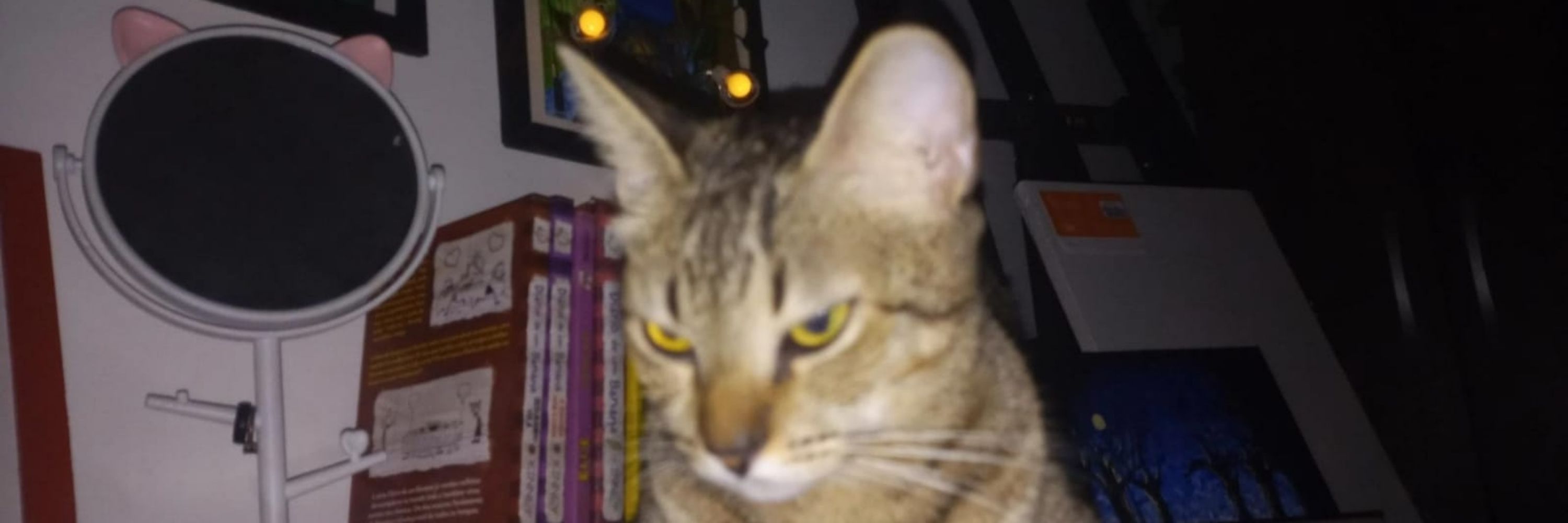 sat