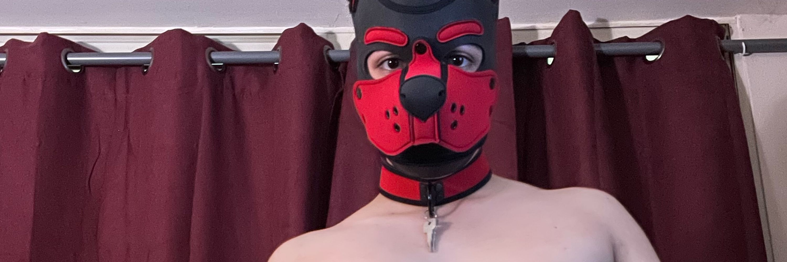 PuppyHole