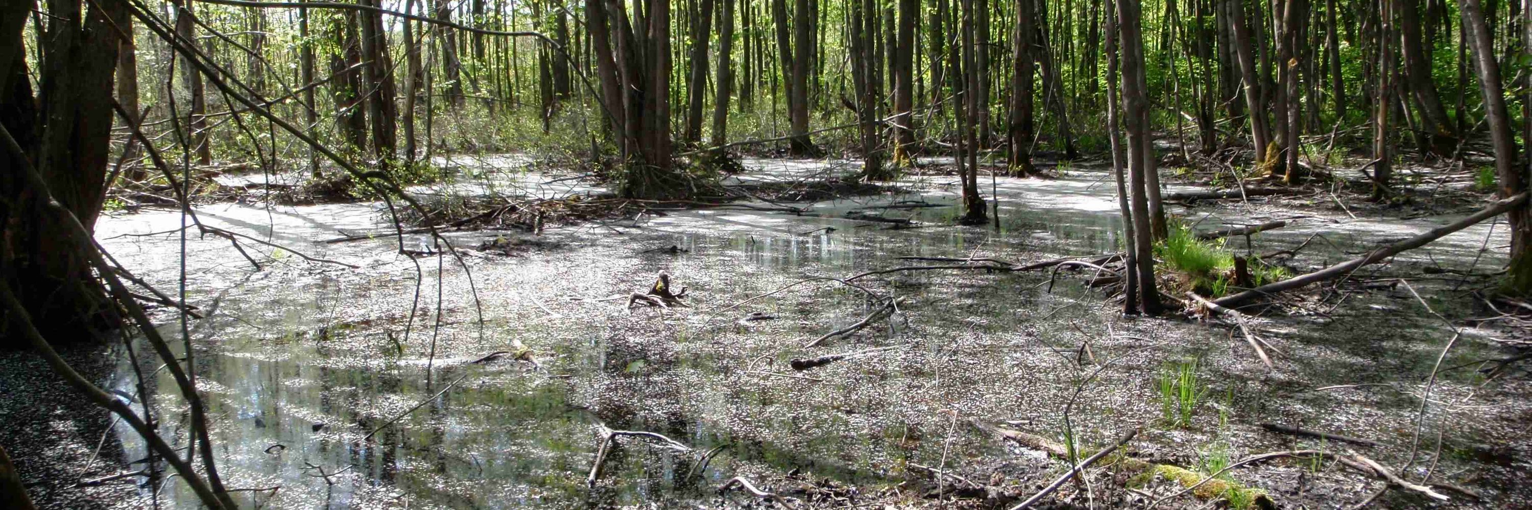 Chaire Eau et conservation du territoire