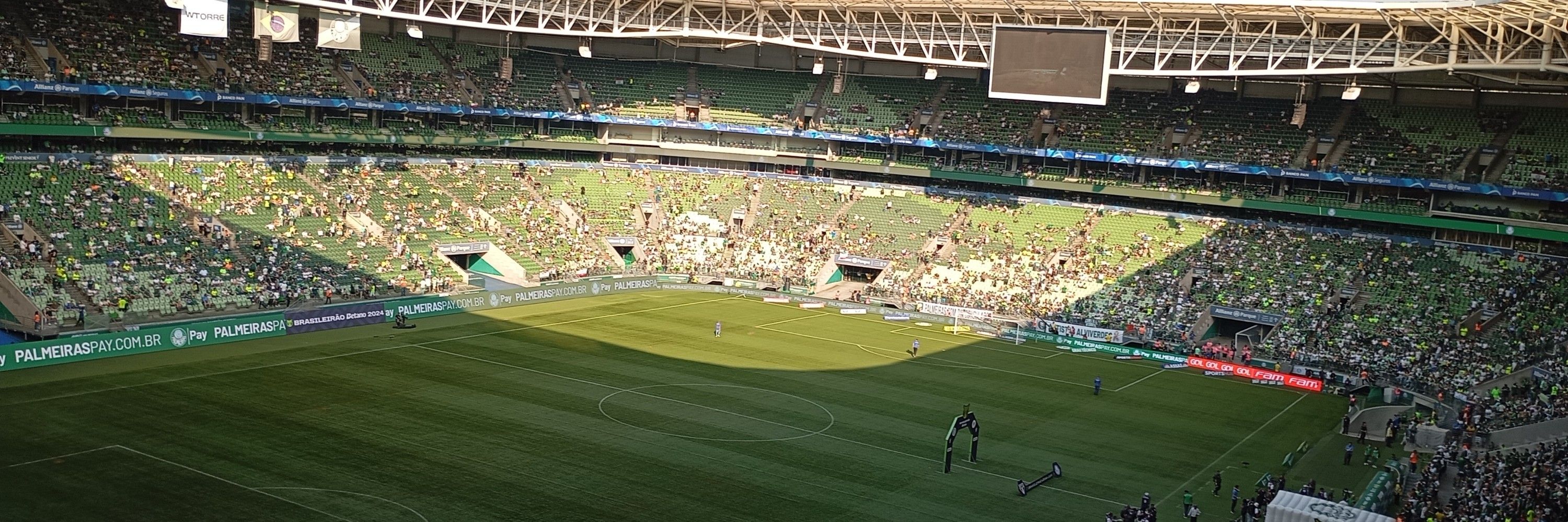 palmeiras 