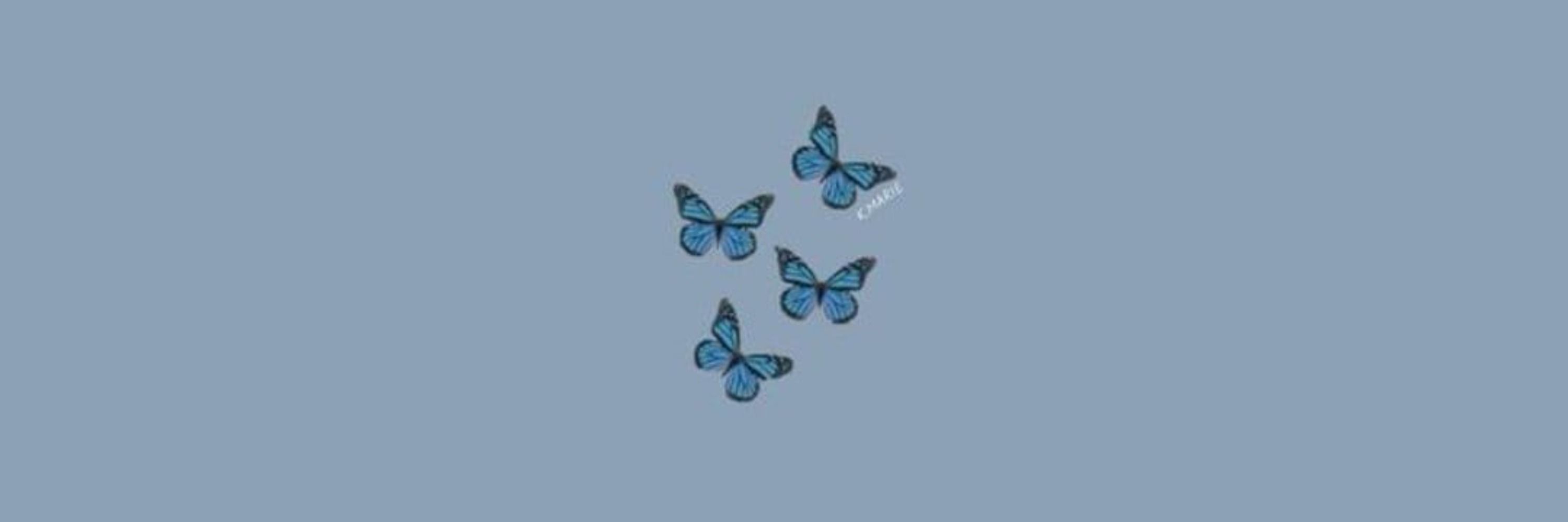 cyz 🧚🏻‍♀️
