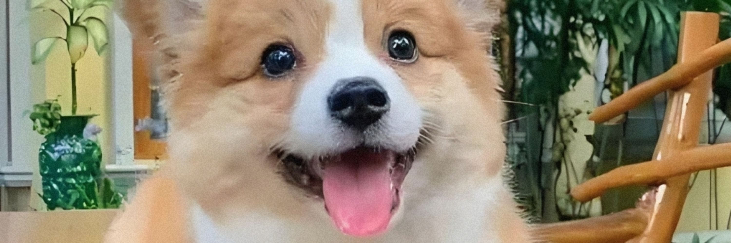 Albert