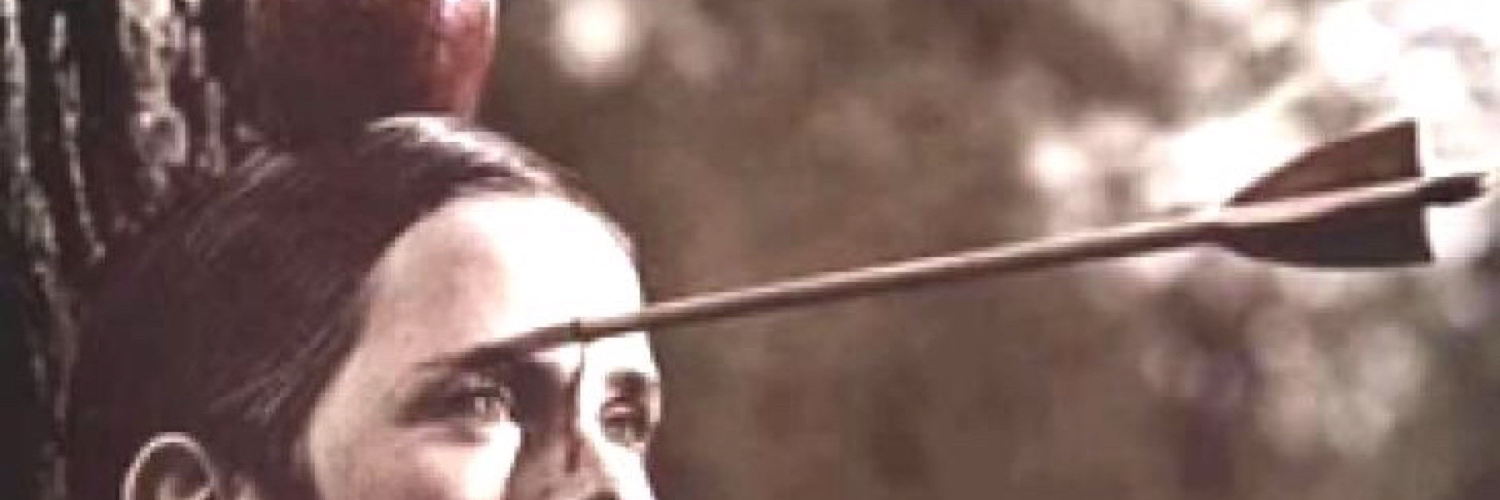 بوتیمار