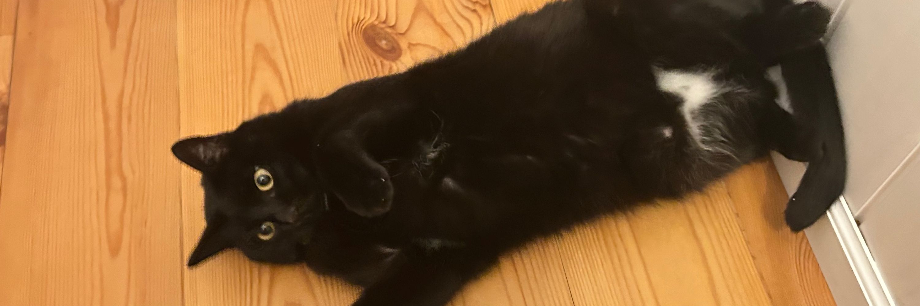 ミナミール