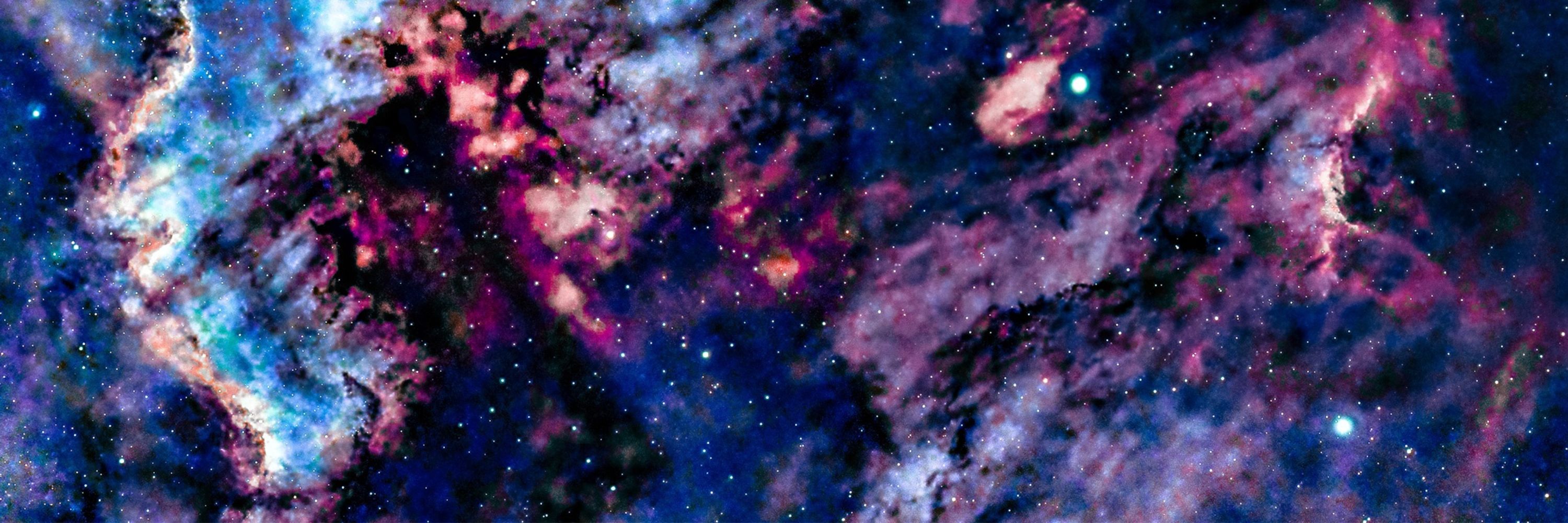 Shelly Saunders