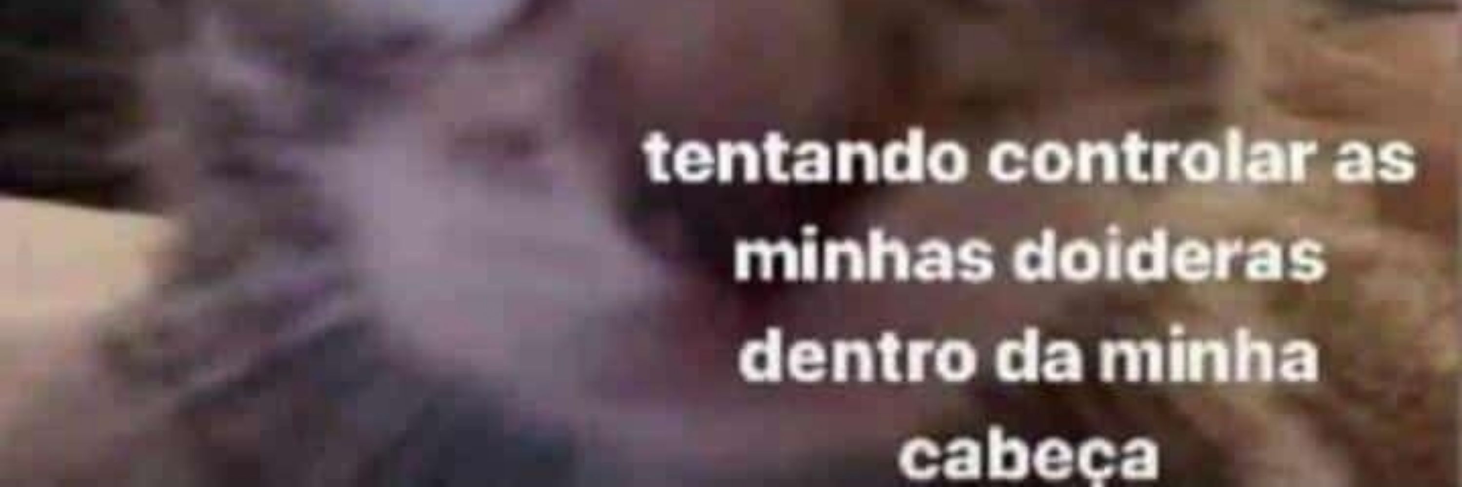 bolo de carne recheado de ansiedade