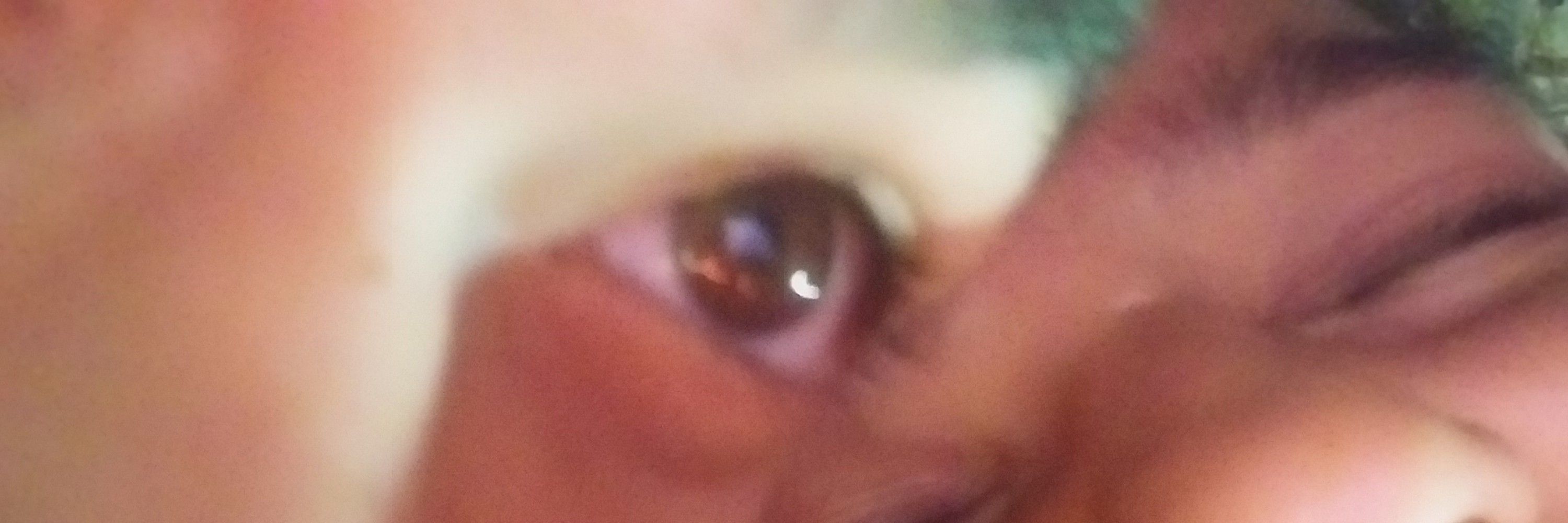 cesinha