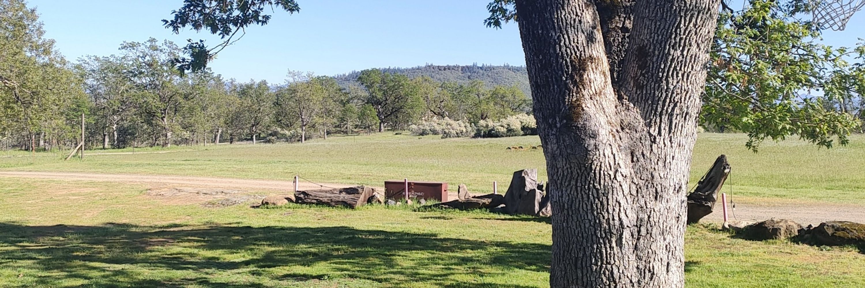 Muddy Dog Acres
