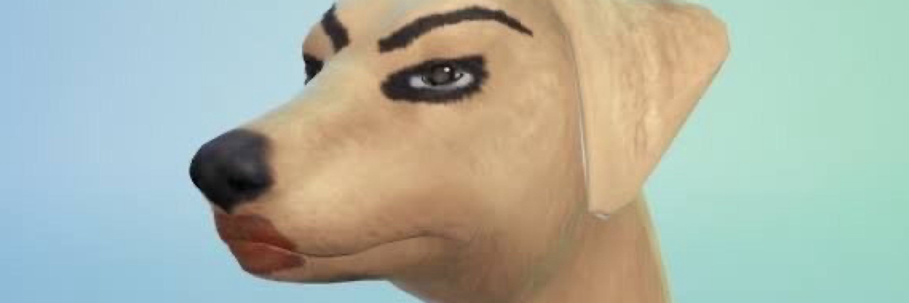 clarinha do skibiridops