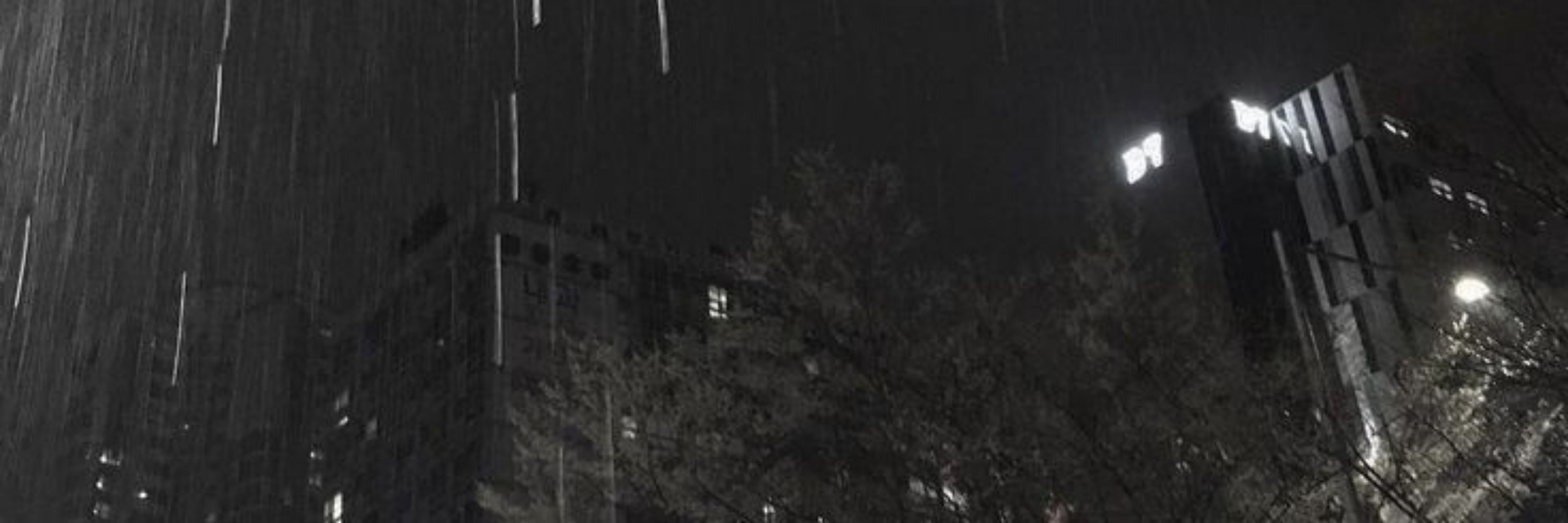 suguru geto paulista 