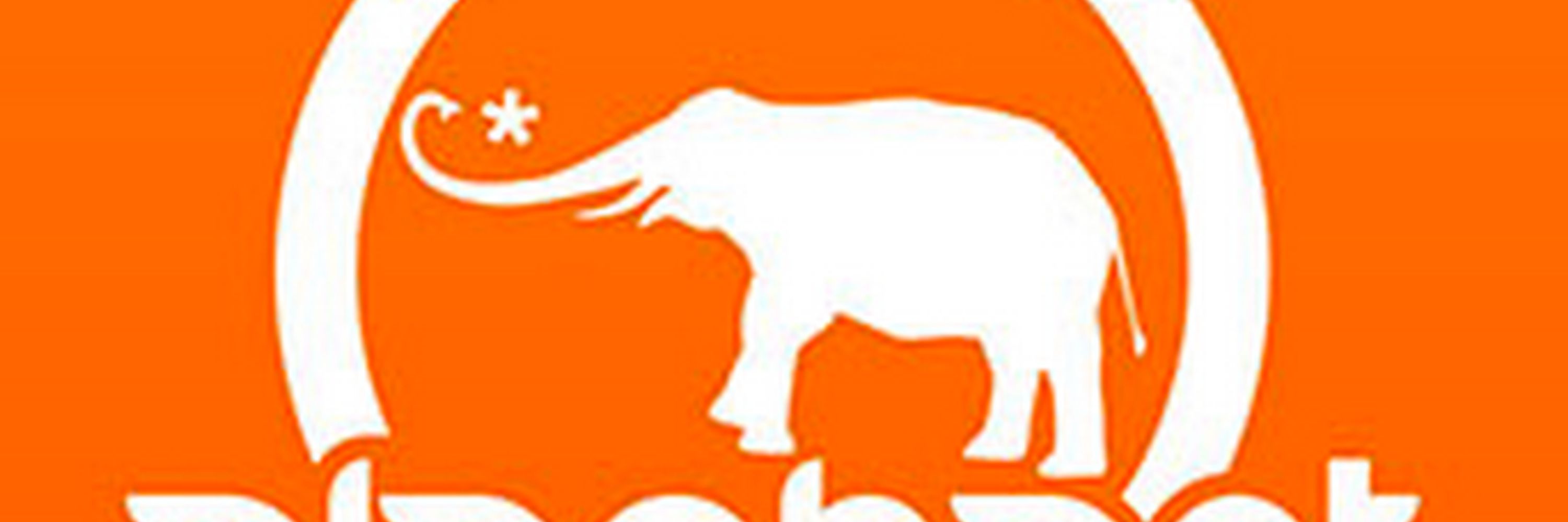 Waylon & Elephant Journal