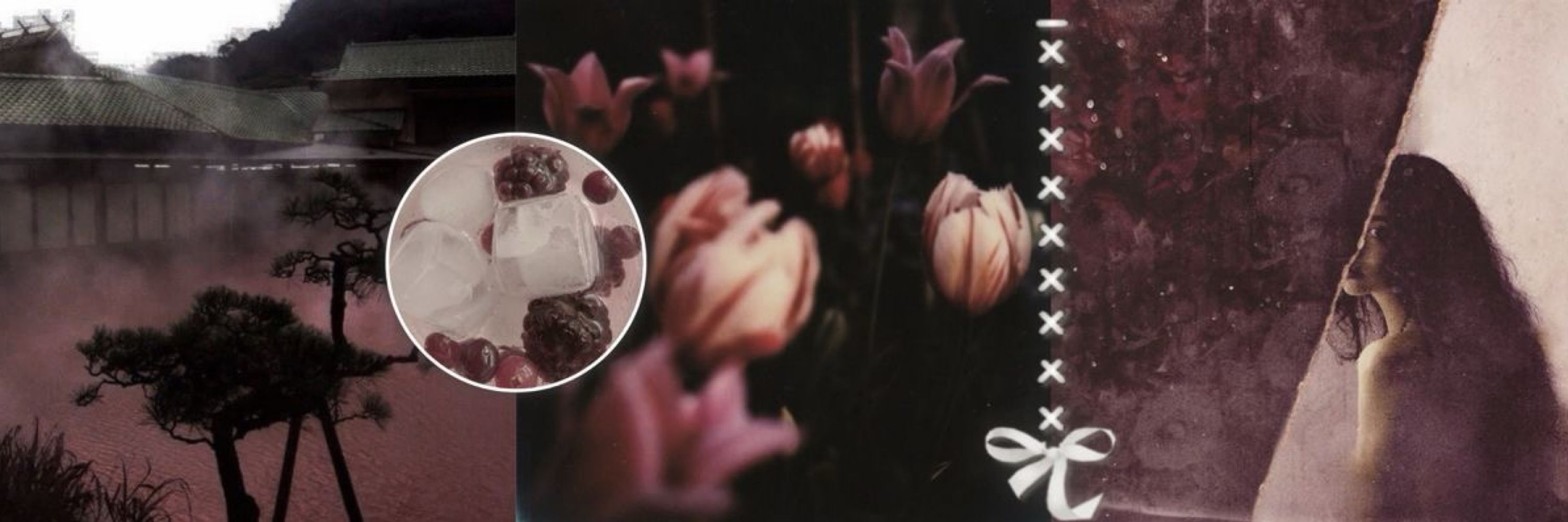 𝐷𝑎𝑖𝑠𝑦 ⊹ ࣪ ˖