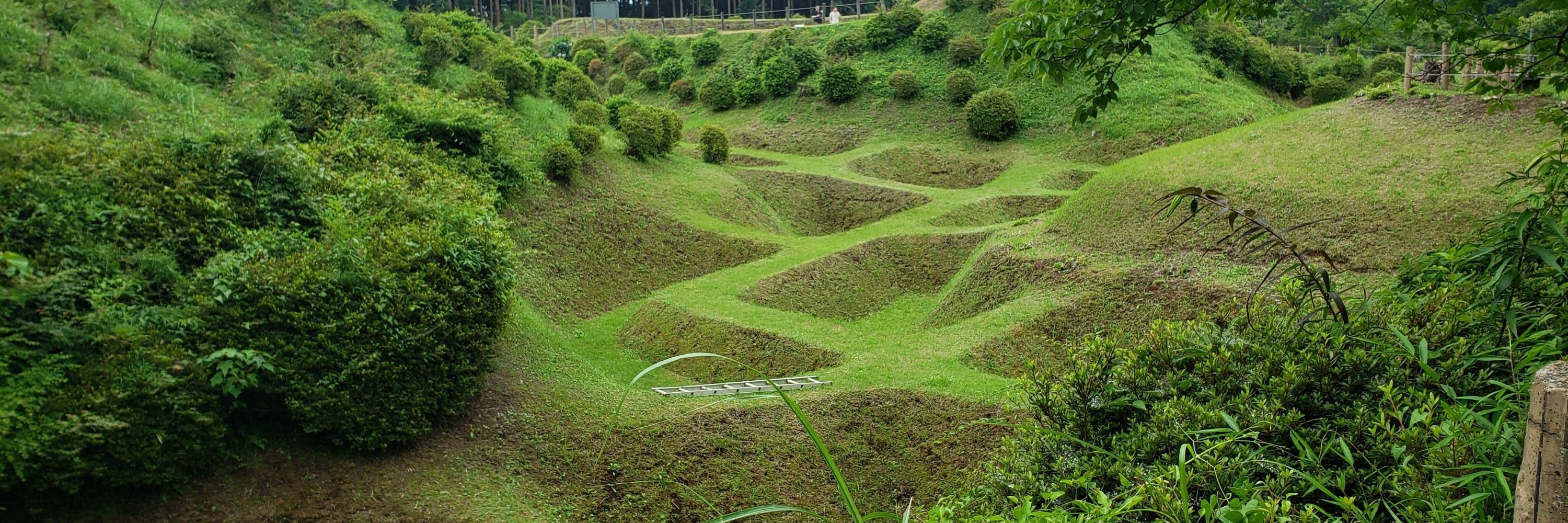 羽幌