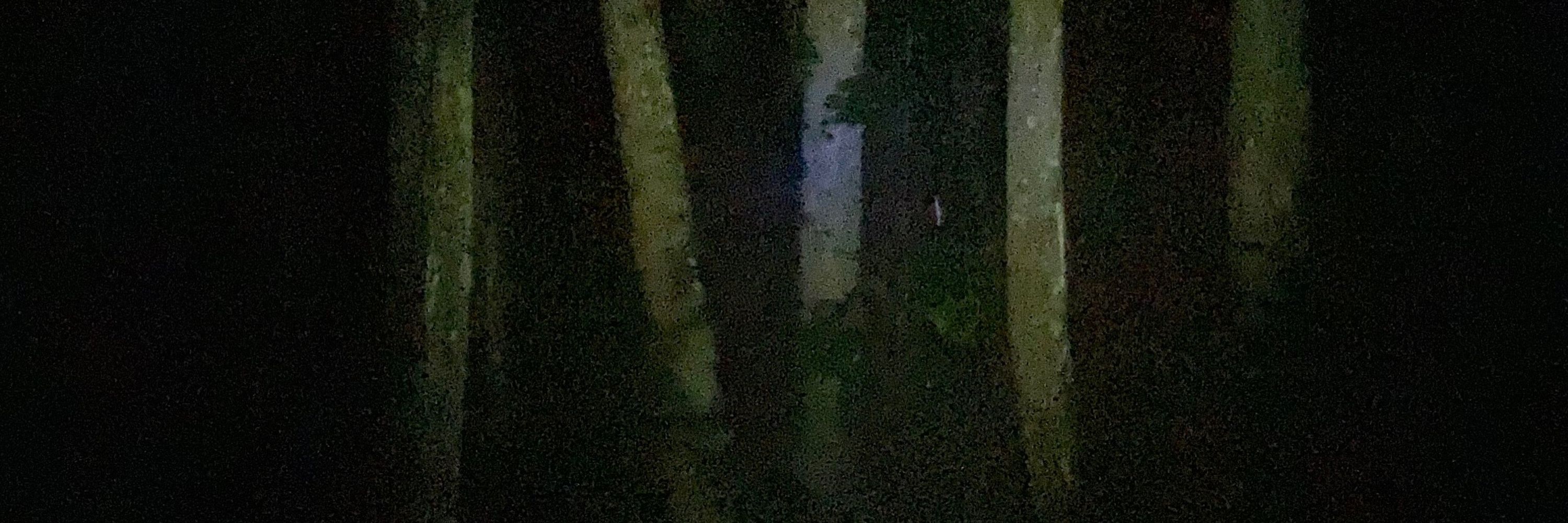 Voidvana