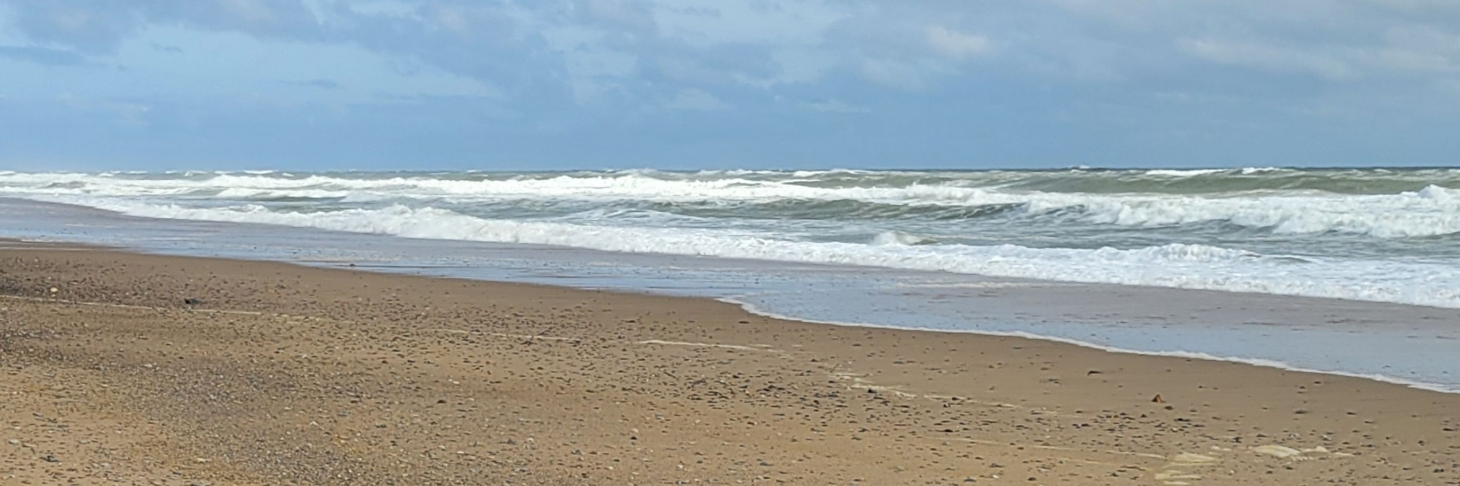 Nancy Wind