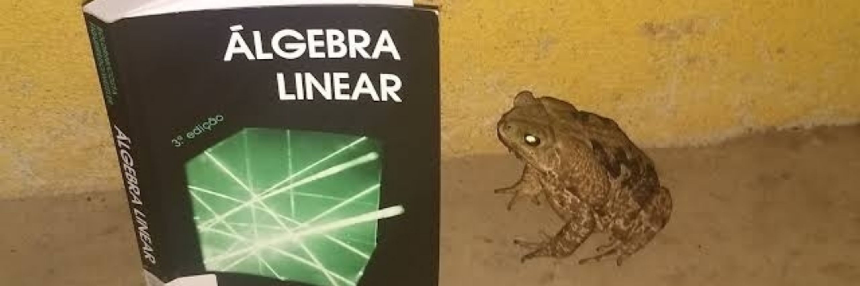 brendinhes 